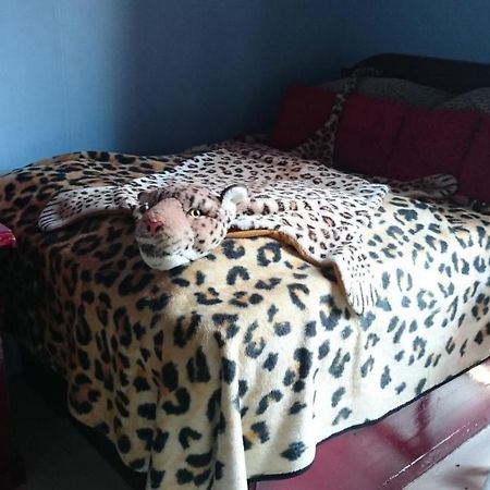 Koningin Van Pieterburen Bed and Breakfast Zewnętrze zdjęcie