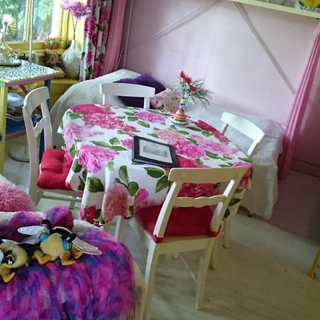 Koningin Van Pieterburen Bed and Breakfast Zewnętrze zdjęcie