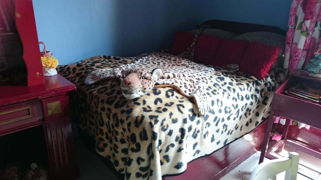 Koningin Van Pieterburen Bed and Breakfast Zewnętrze zdjęcie