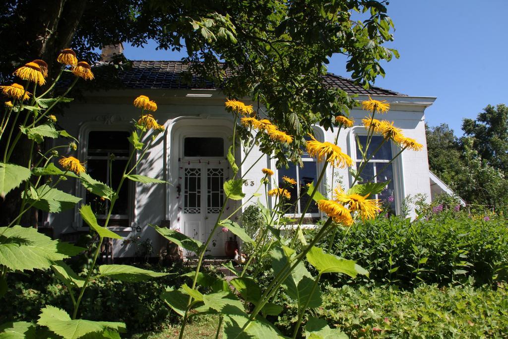 Koningin Van Pieterburen Bed and Breakfast Zewnętrze zdjęcie