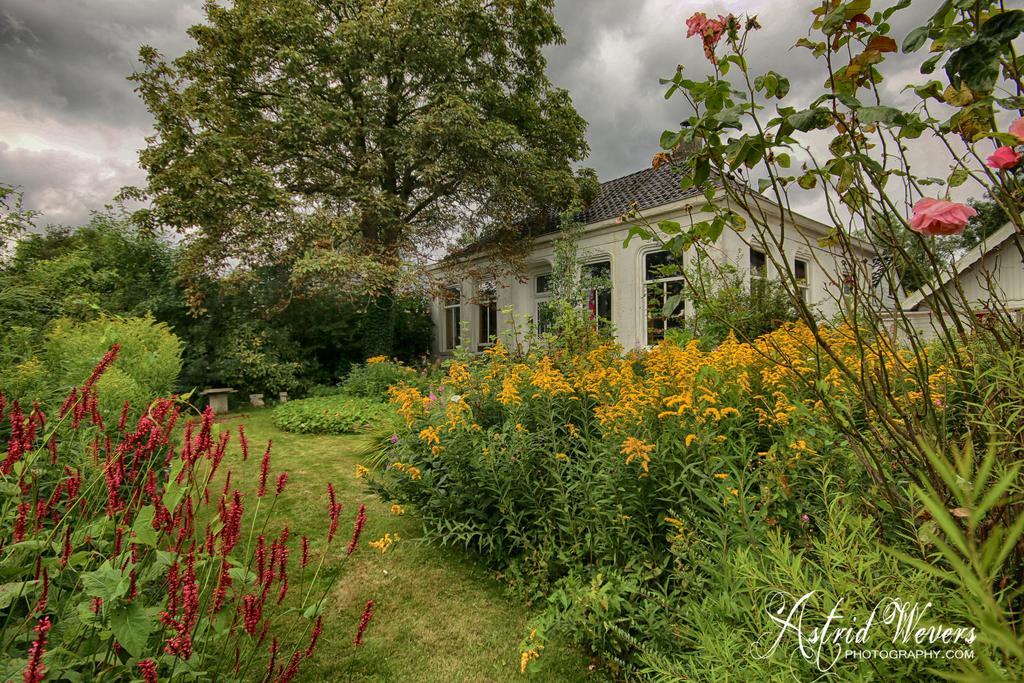 Koningin Van Pieterburen Bed and Breakfast Zewnętrze zdjęcie