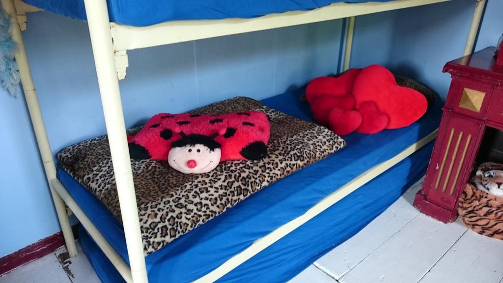 Koningin Van Pieterburen Bed and Breakfast Zewnętrze zdjęcie